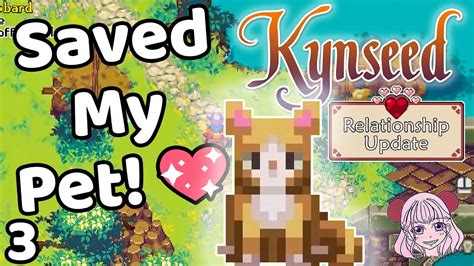 Kynseed cat rescue 2